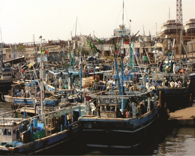 Rehabilitation of Karachi Fish Harbour